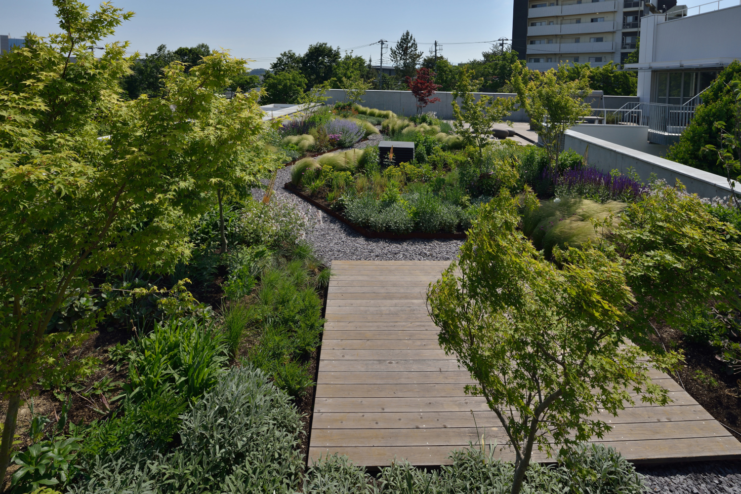 The “Slow Green” Rooftop Garden Green Wise Headquarter, 株式会社 グリーン・ワイズ